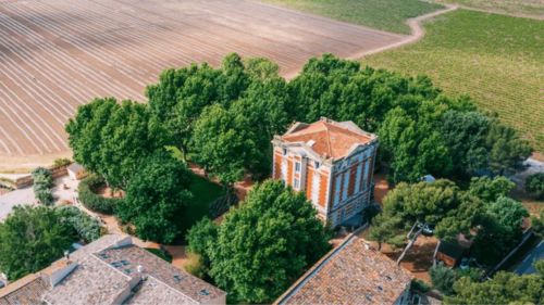 Vue aérienne du Château La Beaumetane prise par drone, domaine entouré de vignes en Provence 2