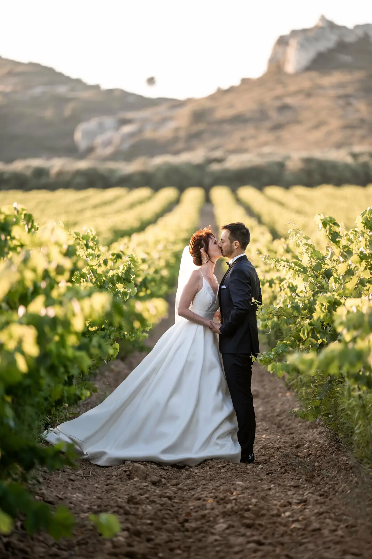 Wedding venue in Provence surrounded by vineyards
