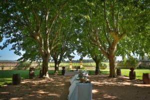 parc chateau vin honneur provence vigne platanes