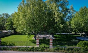 chateau-parc-evenement-professionnel-nature-rentree-provence-bouches-du-rhone